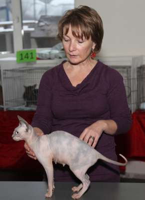 �������� ����� '������� ���-�����' 30 ������-1 ������� 2013., WCF-����� 4188